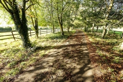 Diswellstown Manor, Castleknock