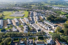 Scholarstown Wood, Rathfarnham