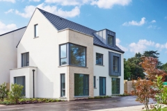 Scholarstown Wood, Rathfarnham